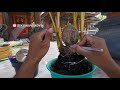 CARA MEMBUAT BONSAI KELAPA KEMBAR TIGA, HOW TO MAKE TWIN THREE COCONUT BONSAY