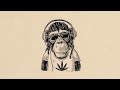 📿FREE Reggae Instrumental-Boombap/Reggae type beat- Vibes📿