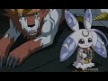 Lunamon being cute in Digimon Anime
