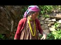 village farming in rural Nepal || Dharem brother's family farming || @ruralnepall