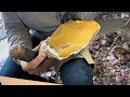 Flintknapping GOLD!! Spalling Some Georgia Jasper For Arrowheads