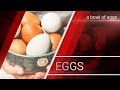 Bowl of eggs | Ep. 1151