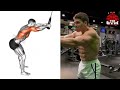 7 Killer Back Exercises - Back Workout