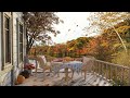 Cozy Autumn Morning Sounds -Forest Birds &Relaxing Water Sounds for Stress Relief, Working, Studying