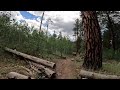 Virtual Hike: Apache National Forest: Butler Canyon Trail