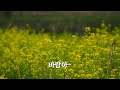바람 바람아 /미스트롯3/ 정서주/ 가사/ COVER Ocarina