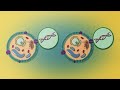 Cell theory: definition and principles