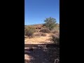 Saguaro Lake riding day