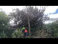 Tree Pruning