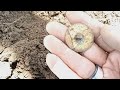 Unbelievable 1722 Permission!! #72 #metaldetecting #treasurehunting #equinox600 #massachusetts #413