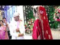 Grand Bridal Entry Dance Performance | Dulhan entry | Marriage Entry | #tanuja