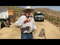 Roping Shots - It’s all in the wrist