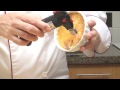 How to Make Vanilla Crème Brulée Recipe - How to make Creme Brulee