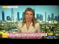 UN Security Council approves Gaza ceasefire proposal | 9 News Australia