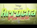 ARROCHA MARCANTE 2009 a 2013 - AS MELHORES (Julho 2022) #melodysad