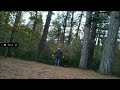 Strange Energy in the woods