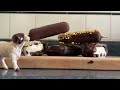 Chocolate Ice Cream Bars - You Suck at Cooking (episode 145)