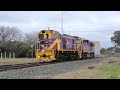 V/Line Y156 collected from the Bendigo North workshops- 20/7/24