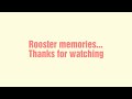 Rooster Memories