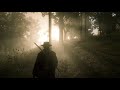 Red Dead Redemption 2_20181111221019