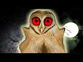 Owl Sounds to Scare at Night