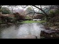 The gentle sound of rain helps you sleep | Insomnia relief, relaxation | The best rain sound ASMR