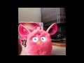 2016 Furby Connect