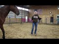 First Touches w/a Wild Mustang | NY Clinic 1