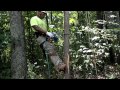 How To Use Tree Climbing Spikes or Tree Spurs for Climbing Arborist, Tree Men, Tree Women and All