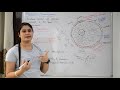 Nucleus Structure & Functions in Hindi | Nucleolus | Nuclear Membrane | Nucleoplasm