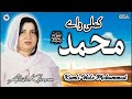 Kamli Wale Muhammad Tun Sadqe | Abida Khanam  | Best Famous Naat | OSA Islamic