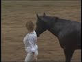 Stacy Westfall Championship Bareback & Bridleless Freestyle Reining with Roxy