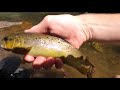 Fly Fishing Cherokee North Carolina