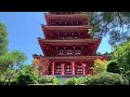 Takahata Fudoson Temple Hydrangea Festival 2024 Hino Tokyo 紫陽花 まつり高幡不動尊寺 日野東京