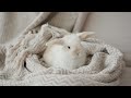 Magic Music for Rabbits - Deep Anxiety Relief Lullabies 🐰💤❤️