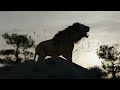 Lion Roar || Animation || Portfolio Sample || ArtistAyon #blender3d