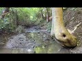 creek running with the mini traxxas