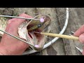 SIMPLE Fishing Hacks that's very Useful (2024)