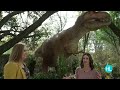 Journey back in time with TXU Presents 'Dinosaurs' at the Houston Zoo
