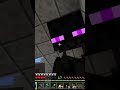stare down with a enderman