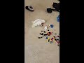 Sophie plays with her toys
