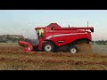 Mietitura grano con LAVERDA M 304 - Wheat harvest -