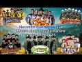 Los Tucanes De Tijuana, Los Huracanes Del Norte, Los Tigres, Los Cardenales, Ramon Aya Mix 2024