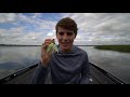 Fishing A Spinnerbait Vs. Chatterbait (When Spinnerbait WINS)