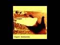 Origami Malebariska - Origami Malebariska [ritual/drone/dark ambient/experimental]