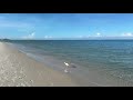 Part 2 of Robb’s Saturday Morning Beach Walk in North Naples, Florida (07/27/24)