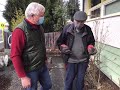 Pruning Roses