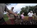 Goose Banding