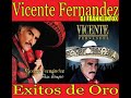 VICENTE FERNANDEZ Y SUS GRANDES EXITOS (DJ FRANKLINFOX)