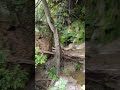 Water Fall in Central Texas - Gorman Falls
